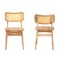 Baxton Studio Tadeo Mid-Century Modern Oak Brown Finished Wood and Rattan 2-Piece Dining Chair Set 239-2PC-13415-ZORO - alternate 3